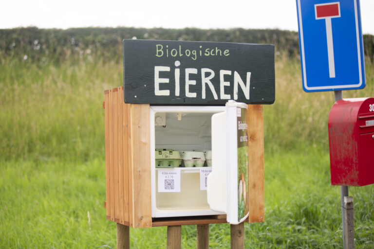 Het eierkastje aan de weg waar de biologische eieren te koop zijn in Wilp.